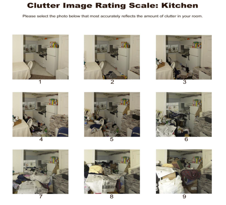 Clutter Image Rating Scale